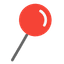 pin