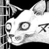Neil (froout)